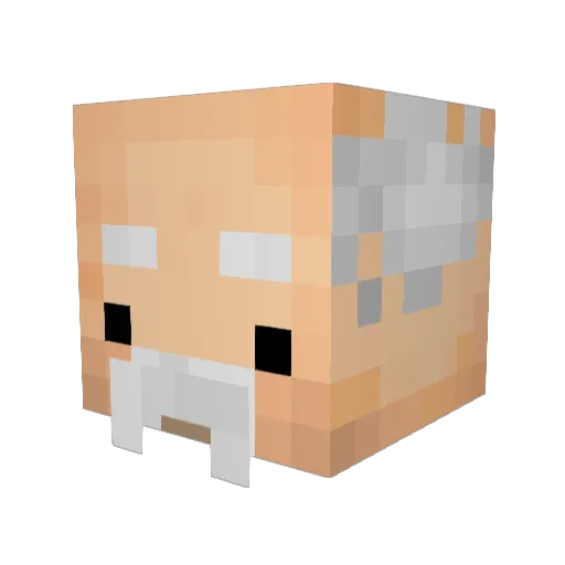lzkqzz Minecraft avatar head, 3D render