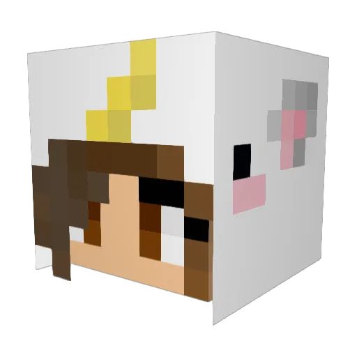 lzyr043 Minecraft avatar head, 3D render