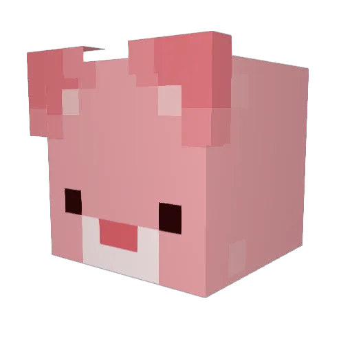 m00ncactus Minecraft avatar head, 3D render