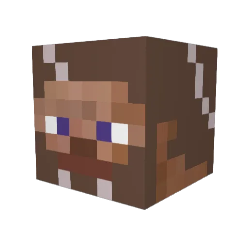 m0381u511 Minecraft avatar head, 3D render