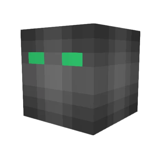 m0j0Texas Minecraft avatar head, 3D render