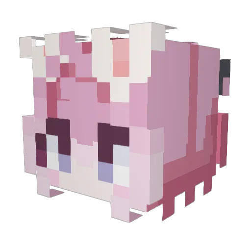 m0lpaw Minecraft avatar head, 3D render
