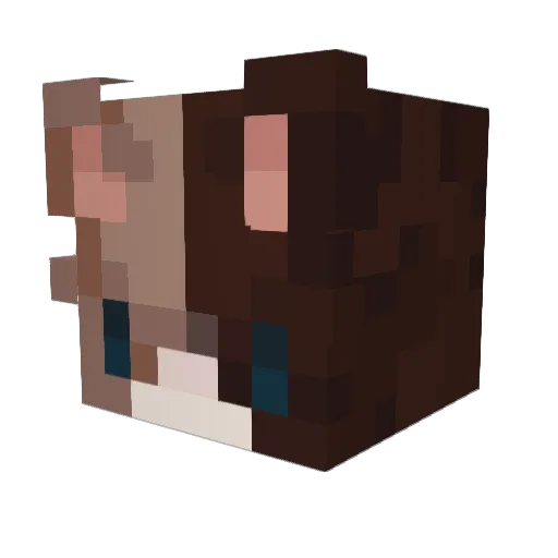 m0thb0n3s Minecraft avatar head, 3D render