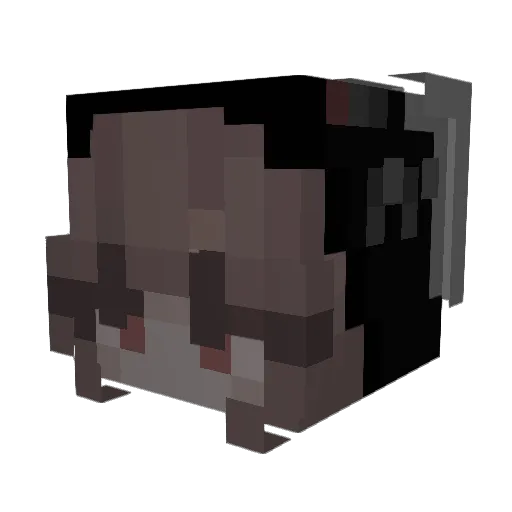 m1aeliza Minecraft avatar head, 3D render