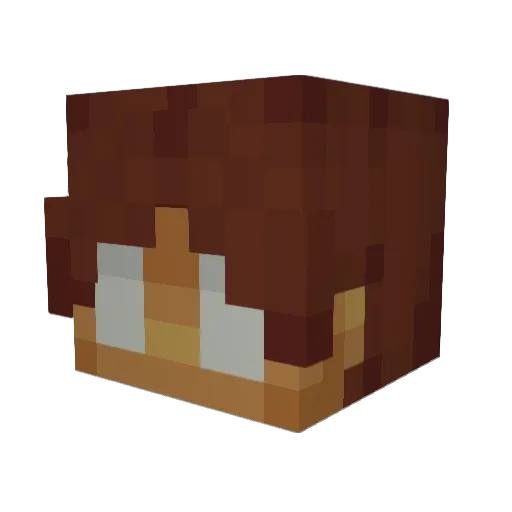 m1koda Minecraft avatar head, 3D render