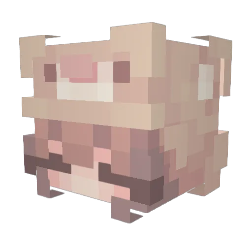 m1nc3raft Minecraft avatar head, 3D render