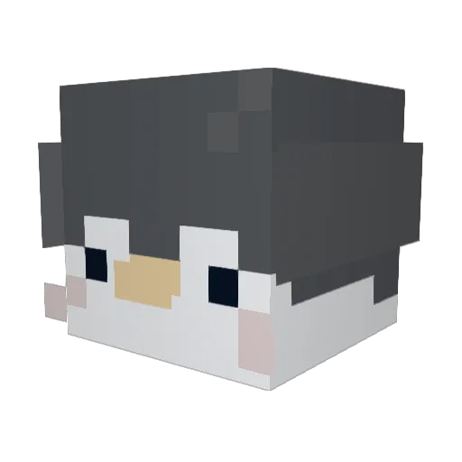 m3llysm3lly Minecraft avatar head, 3D render