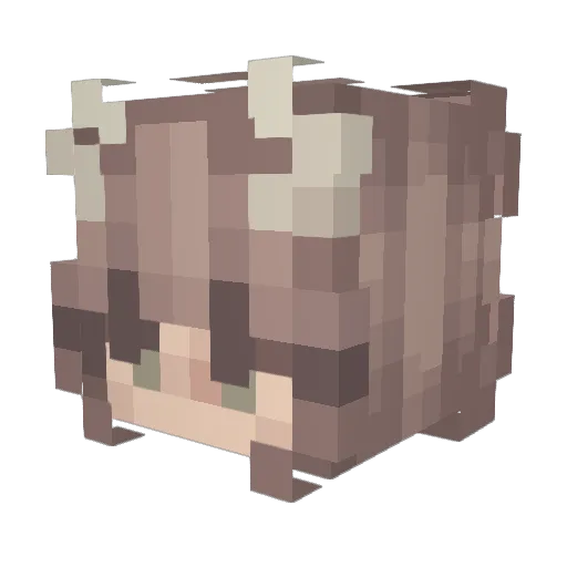 m3ntalbrak3down Minecraft avatar head, 3D render