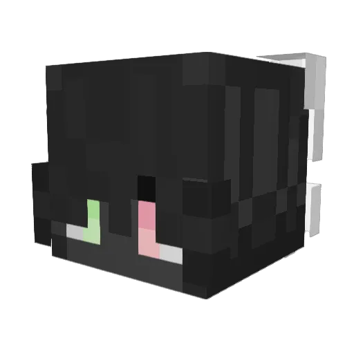 m3owpocalypse Minecraft avatar head, 3D render
