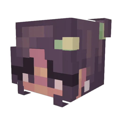 m3ta_1 Minecraft avatar head, 3D render