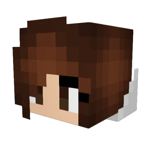 m6i6a6 Minecraft avatar head, 3D render