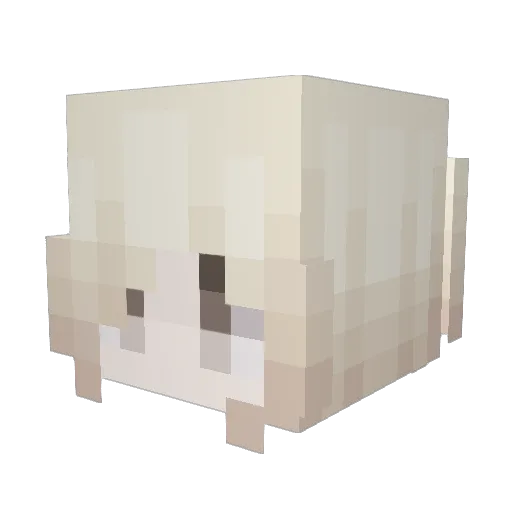 m9ay Minecraft avatar head, 3D render