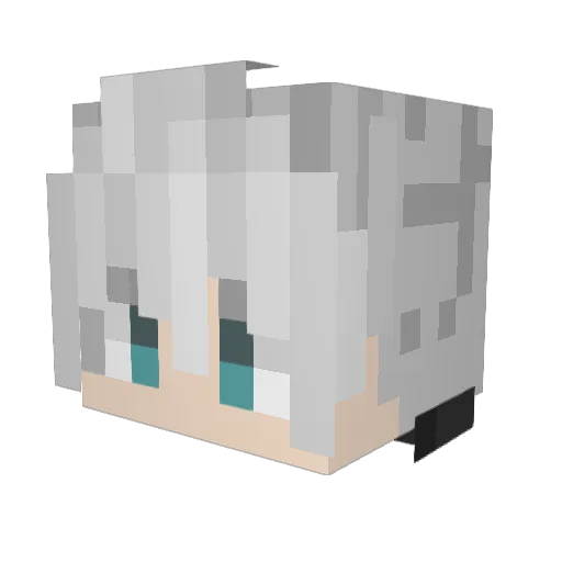 mAP1Eer Minecraft avatar head, 3D render