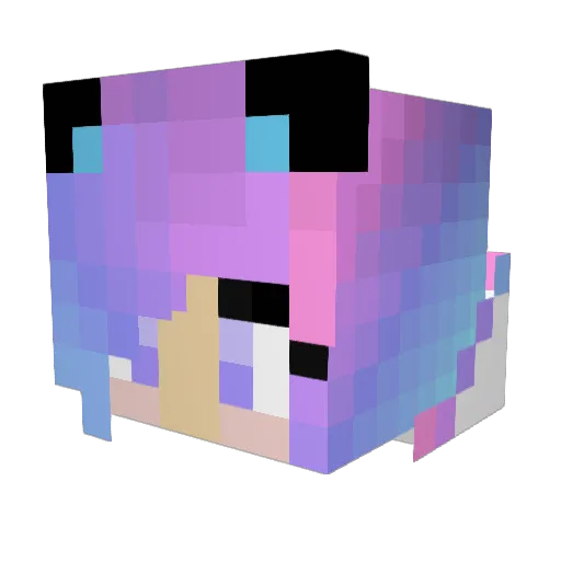 mIdnight118 Minecraft avatar head, 3D render