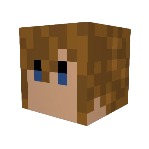 maXime21 Minecraft avatar head, 3D render