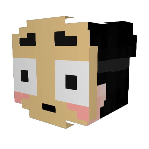 maakuin Minecraft avatar head, 3D render