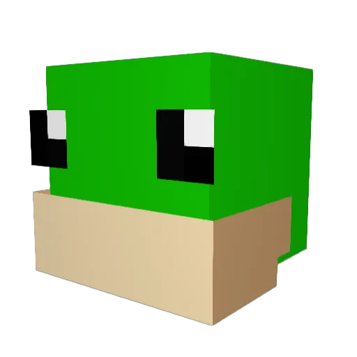 maaysun Minecraft avatar head, 3D render