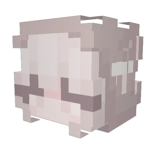 mabelissocute Minecraft avatar head, 3D render