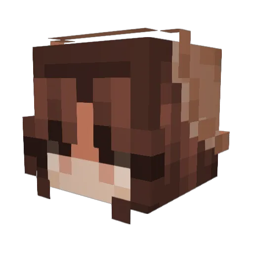 mac_evans Minecraft avatar head, 3D render