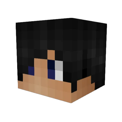 macar00nshaah Minecraft avatar head, 3D render