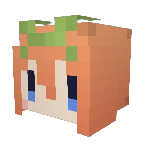 macaron201 Minecraft avatar head, 3D render
