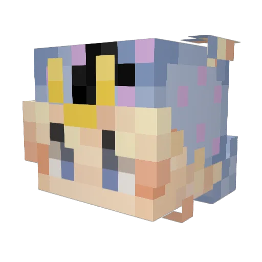 macaroni909 Minecraft avatar head, 3D render