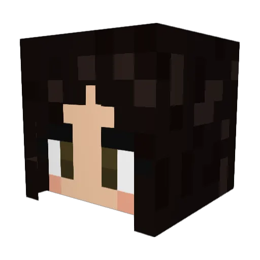 macaronisour Minecraft avatar head, 3D render