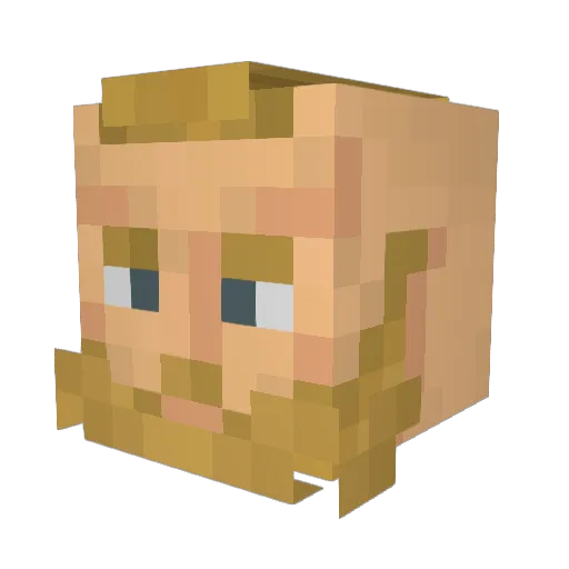 maccamoppy Minecraft avatar head, 3D render