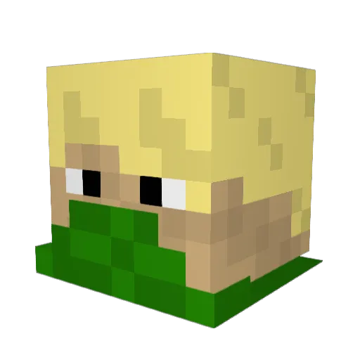mace66 Minecraft avatar head, 3D render