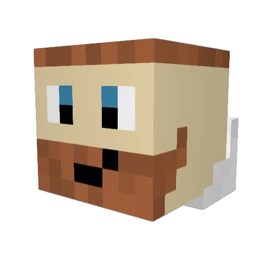 macgun200 Minecraft avatar head, 3D render