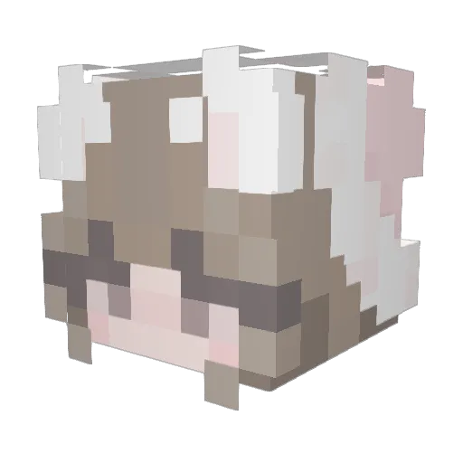 machucho Minecraft avatar head, 3D render