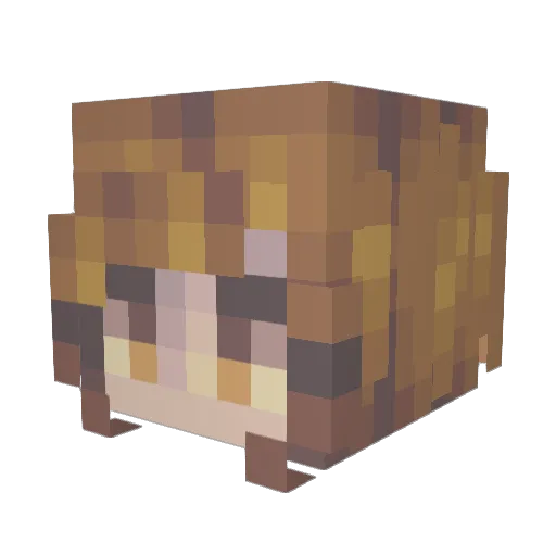 macie75 Minecraft avatar head, 3D render