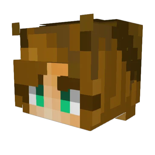 maciek_komin Minecraft avatar head, 3D render