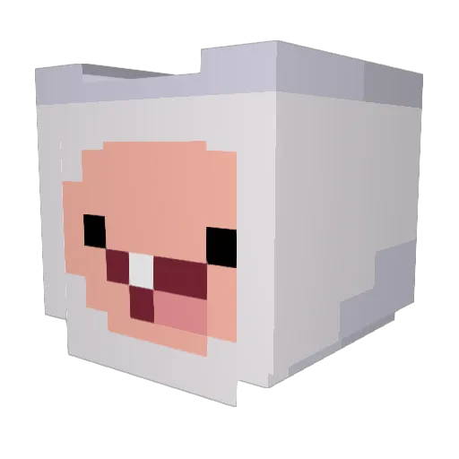 macielzao Minecraft avatar head, 3D render