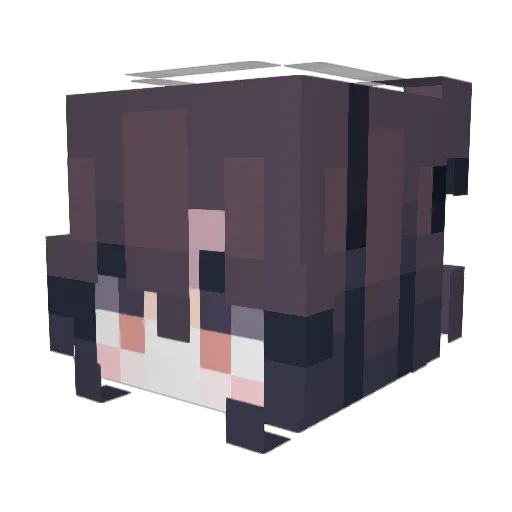 mackenzie64 Minecraft avatar head, 3D render