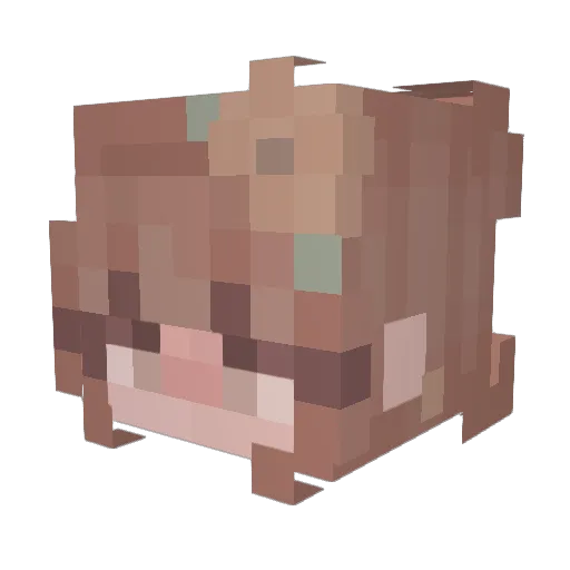 maconians Minecraft avatar head, 3D render