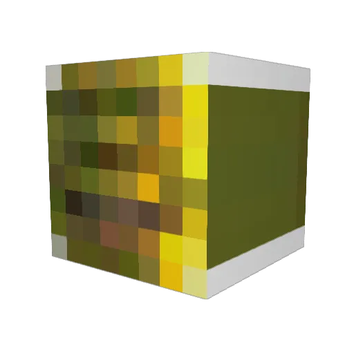madMike0418 Minecraft avatar head, 3D render