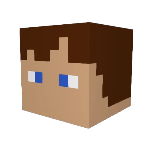 madafaca38 Minecraft avatar head, 3D render