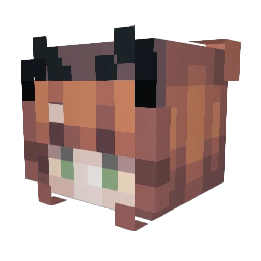 madbull3000 Minecraft avatar head, 3D render