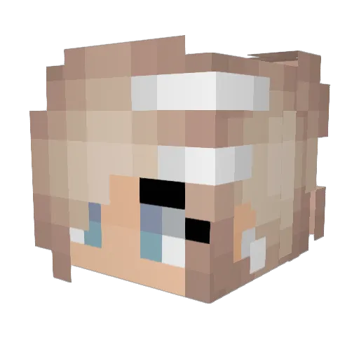 madcapmike Minecraft avatar head, 3D render