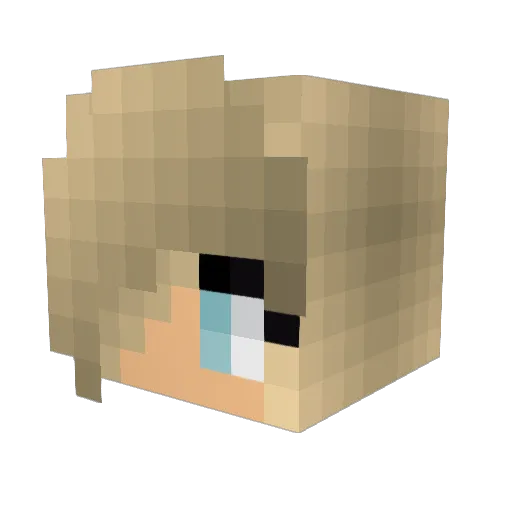 maddie199 Minecraft avatar head, 3D render