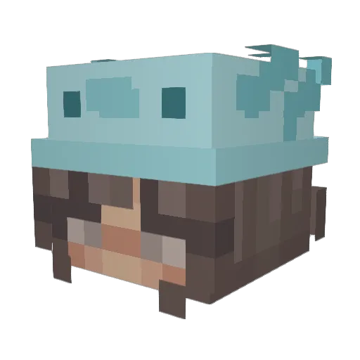 maddie_astro Minecraft avatar head, 3D render