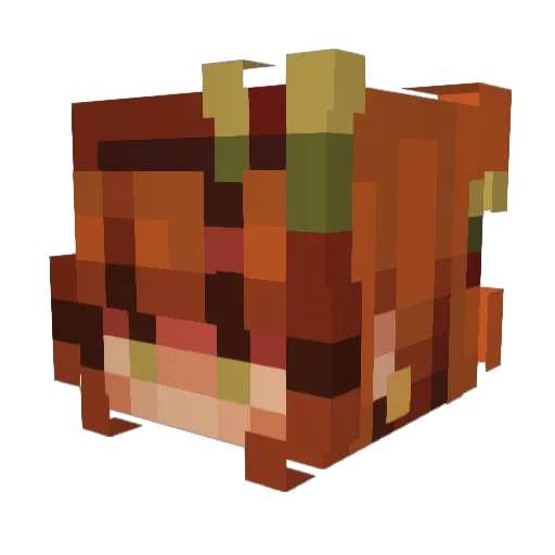 maddiee_bear Minecraft avatar head, 3D render