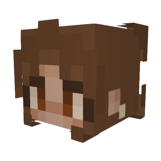 maddieeee7 Minecraft avatar head, 3D render
