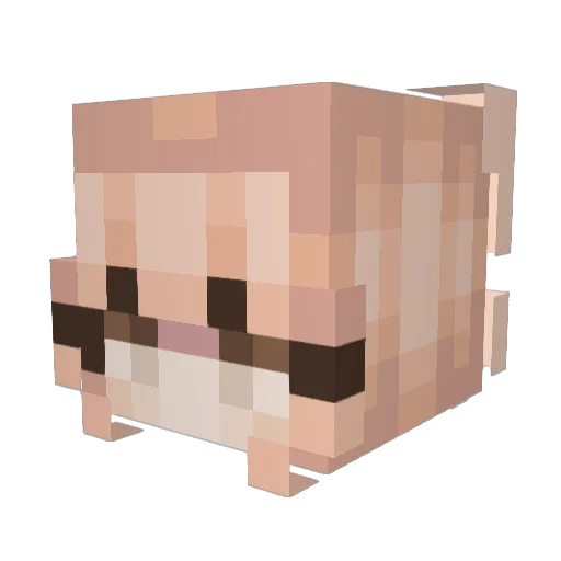 maddieloo Minecraft avatar head, 3D render