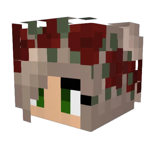 maddienicoleee Minecraft avatar head, 3D render