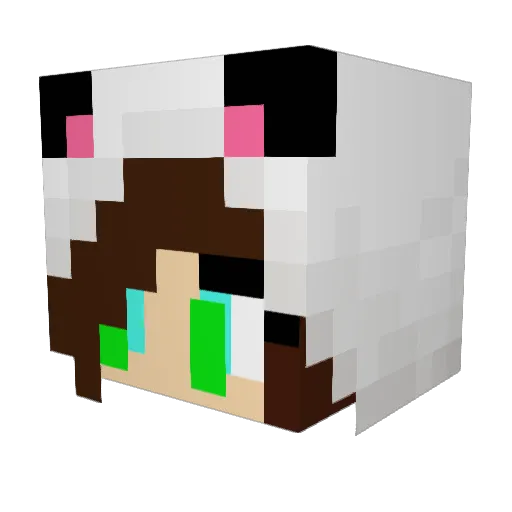 maddiesocks Minecraft avatar head, 3D render