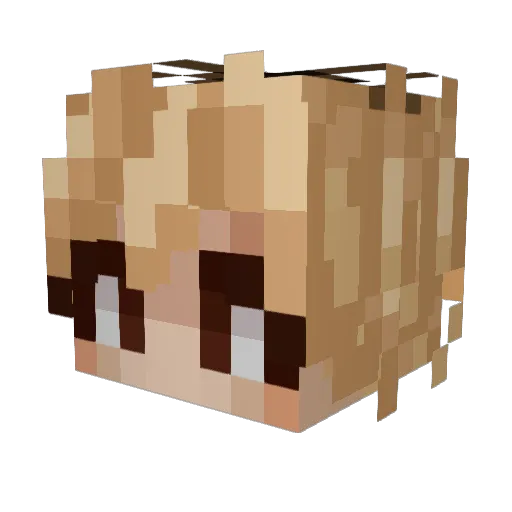 maddisonWIN Minecraft avatar head, 3D render