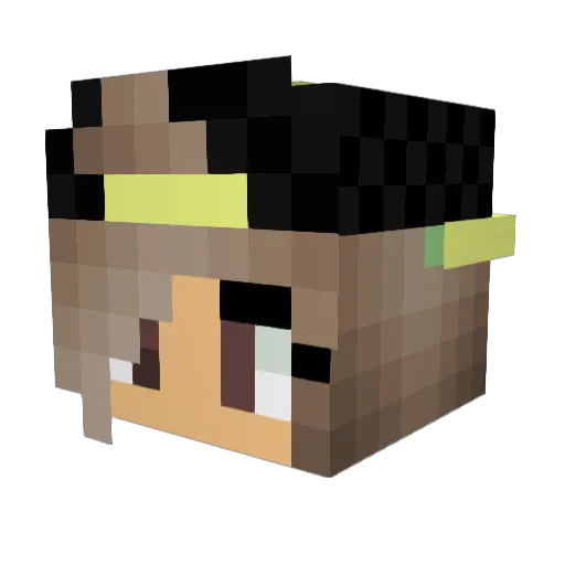 maddraggon2 Minecraft avatar head, 3D render