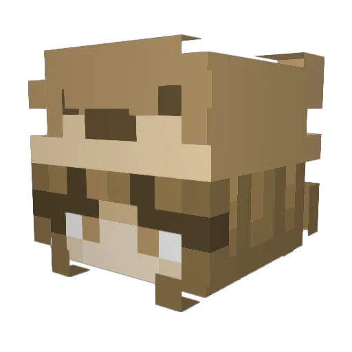 maddywaldron Minecraft avatar head, 3D render